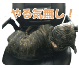 Frebull Buster with friends sticker #13999621