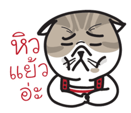 Pe' Mee Na Maew,The Bear is cat sticker #13999662