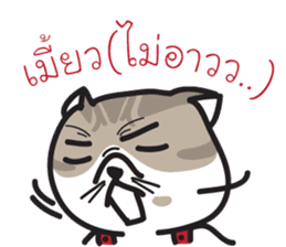 Pe' Mee Na Maew,The Bear is cat sticker #13999664