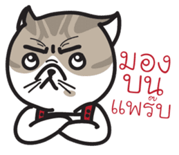 Pe' Mee Na Maew,The Bear is cat sticker #13999668