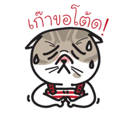 Pe' Mee Na Maew,The Bear is cat sticker #13999669