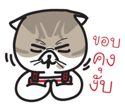 Pe' Mee Na Maew,The Bear is cat sticker #13999670