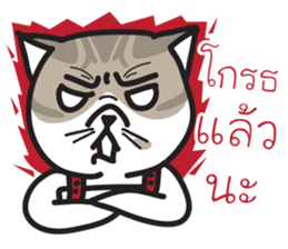 Pe' Mee Na Maew,The Bear is cat sticker #13999671