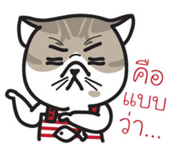 Pe' Mee Na Maew,The Bear is cat sticker #13999672