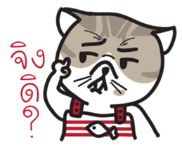 Pe' Mee Na Maew,The Bear is cat sticker #13999678