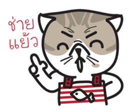 Pe' Mee Na Maew,The Bear is cat sticker #13999685