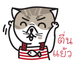 Pe' Mee Na Maew,The Bear is cat sticker #13999686