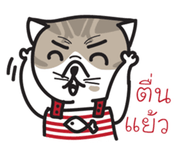 Pe' Mee Na Maew,The Bear is cat sticker #13999686