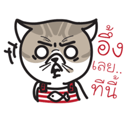 Pe' Mee Na Maew,The Bear is cat sticker #13999687