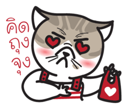 Pe' Mee Na Maew,The Bear is cat sticker #13999688