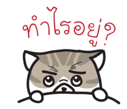 Pe' Mee Na Maew,The Bear is cat sticker #13999690