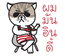 Pe' Mee Na Maew,The Bear is cat sticker #13999691
