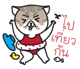 Pe' Mee Na Maew,The Bear is cat sticker #13999692