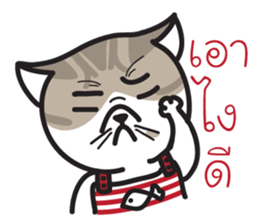 Pe' Mee Na Maew,The Bear is cat sticker #13999693