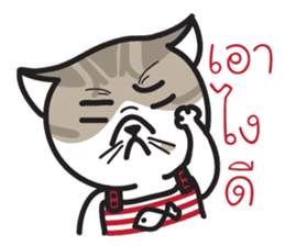 Pe' Mee Na Maew,The Bear is cat sticker #13999693