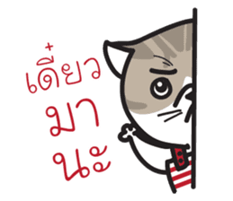 Pe' Mee Na Maew,The Bear is cat sticker #13999694