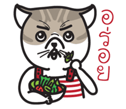 Pe' Mee Na Maew,The Bear is cat sticker #13999701