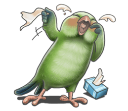 Parrot MaoDou's Things. sticker #14001435