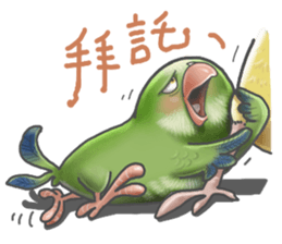 Parrot MaoDou's Things. sticker #14001438