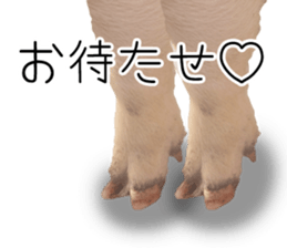 Pig friends sticker #14002051