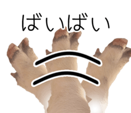 Pig friends sticker #14002052