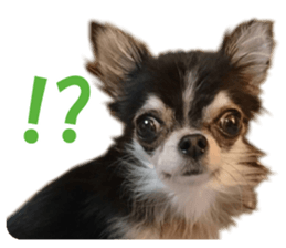 cush sticker #14002286