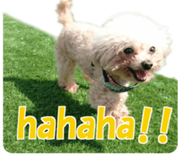 cush sticker #14002287