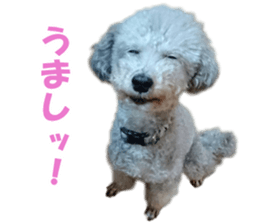 cush sticker #14002290