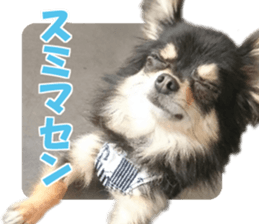 cush sticker #14002294