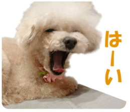 cush sticker #14002296