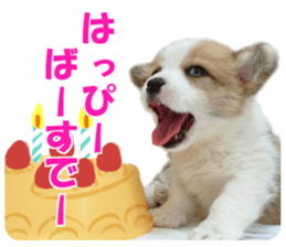 cush sticker #14002297