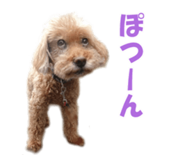 cush sticker #14002298