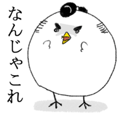 Bird is Maro sticker #14002363