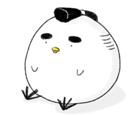 Bird is Maro sticker #14002375