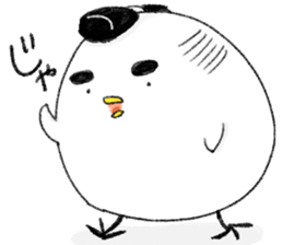 Bird is Maro sticker #14002397