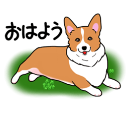 Pembroke Welsh Corgi and good friends 2 sticker #14004327