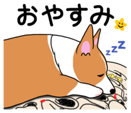 Pembroke Welsh Corgi and good friends 2 sticker #14004328