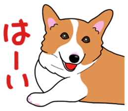 Pembroke Welsh Corgi and good friends 2 sticker #14004332