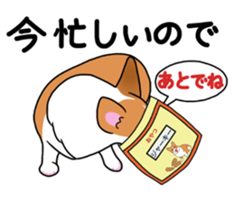 Pembroke Welsh Corgi and good friends 2 sticker #14004340