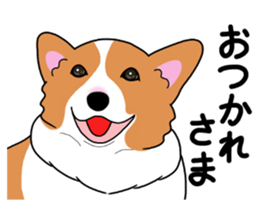 Pembroke Welsh Corgi and good friends 2 sticker #14004342