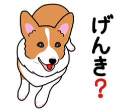 Pembroke Welsh Corgi and good friends 2 sticker #14004343