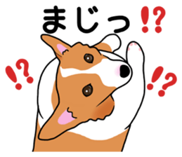 Pembroke Welsh Corgi and good friends 2 sticker #14004347