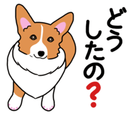 Pembroke Welsh Corgi and good friends 2 sticker #14004357