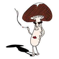 shiitake mushroom oita