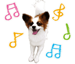 Big papillon and Shiba Dogs! 1 sticker #14005143