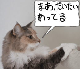 Instead tell the cat part10 sticker #14008366