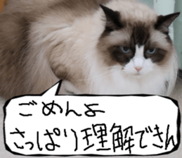 Instead tell the cat part10 sticker #14008377