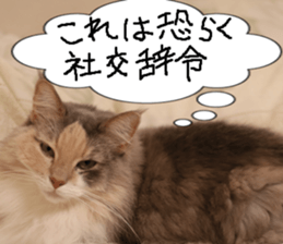 Instead tell the cat part10 sticker #14008379