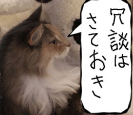 Instead tell the cat part10 sticker #14008380