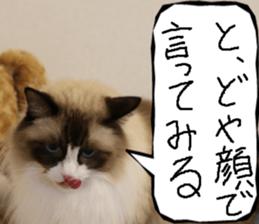 Instead tell the cat part10 sticker #14008383